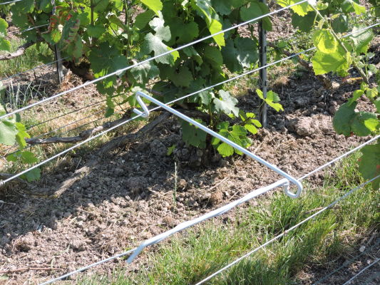 carteur Vigne Bout de rang 