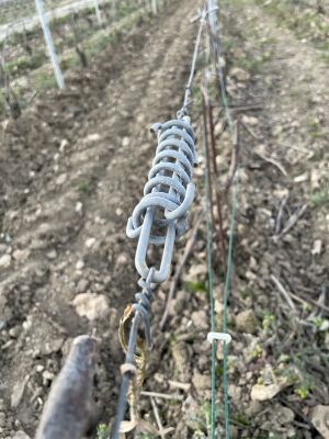 Ressort de Compensation Vigne